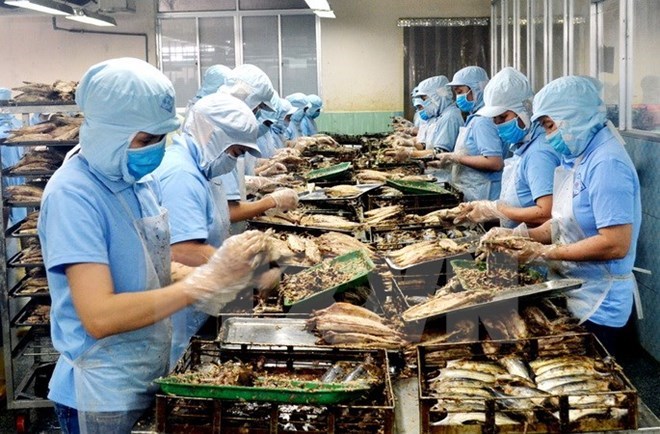 附圖：2018年前兩月越南水產(chǎn)品出口額同比增長近30%。（圖片來源：越通社）